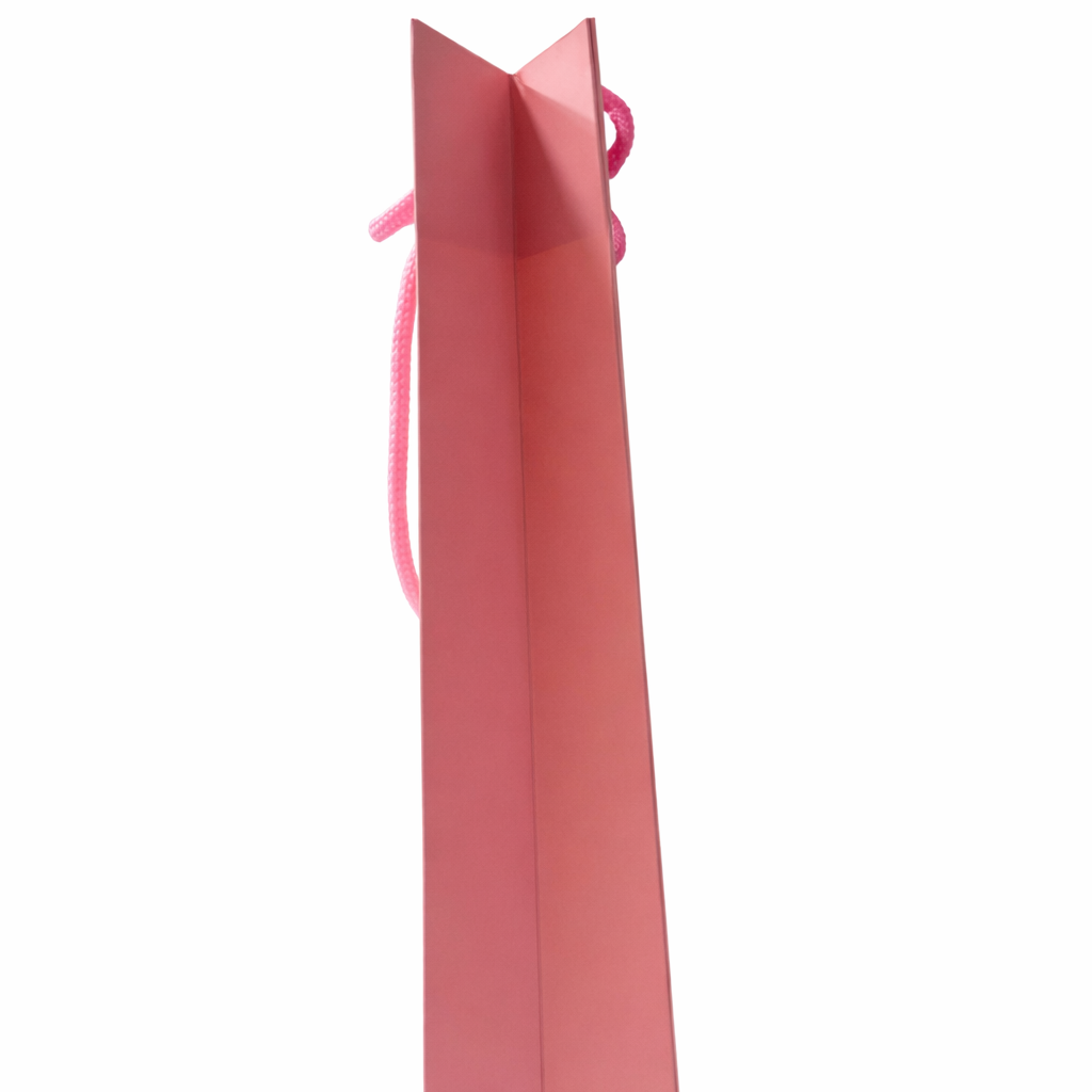 BOLSA DE REGALO MIU MIU PINK